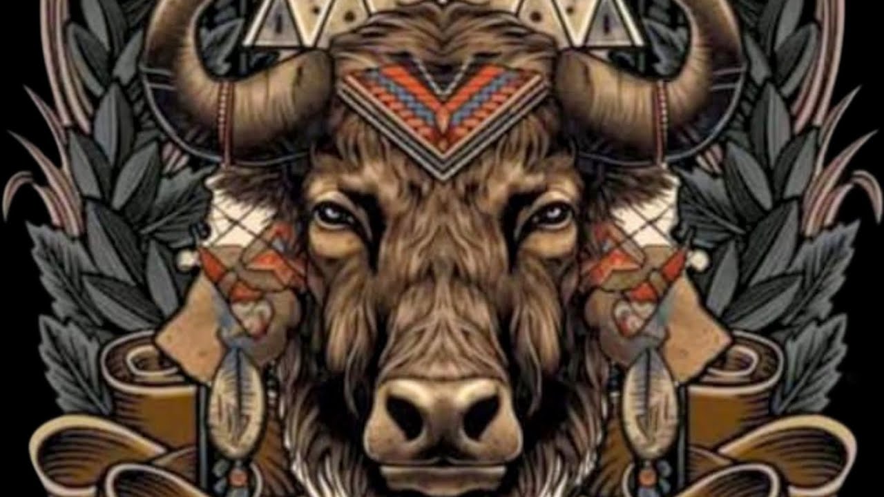 Banteng Lembu Akso Rejoh Part ( 1 ) kediaman Bpk Jumadi Supiturang 