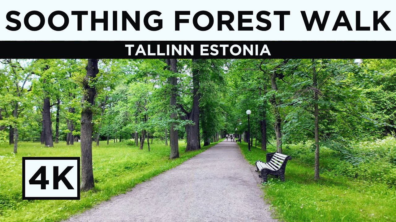4K Virtual Hike through Estonian Forest (ASMR) - Incredible Nature of Kadriorg Park Tallinn Estonia