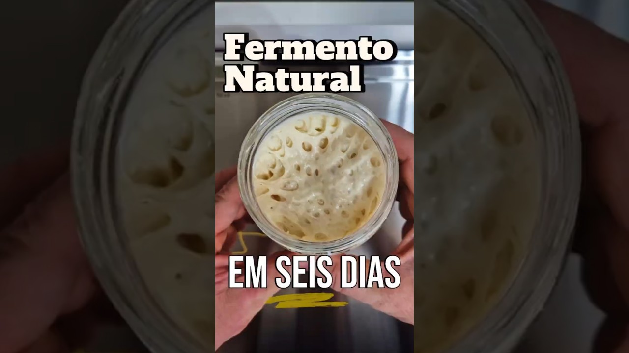 🌾 FERMENTO NATURAL EM SEIS DIAS 🌞 #levain #fermentonatural #p&atilde;o #artesanal #feitoemcasa