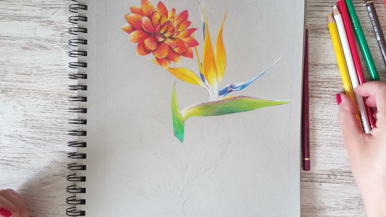 Pinta conmigo. ¡Una hora de concentración para pintar!/Paint with me. Real time
