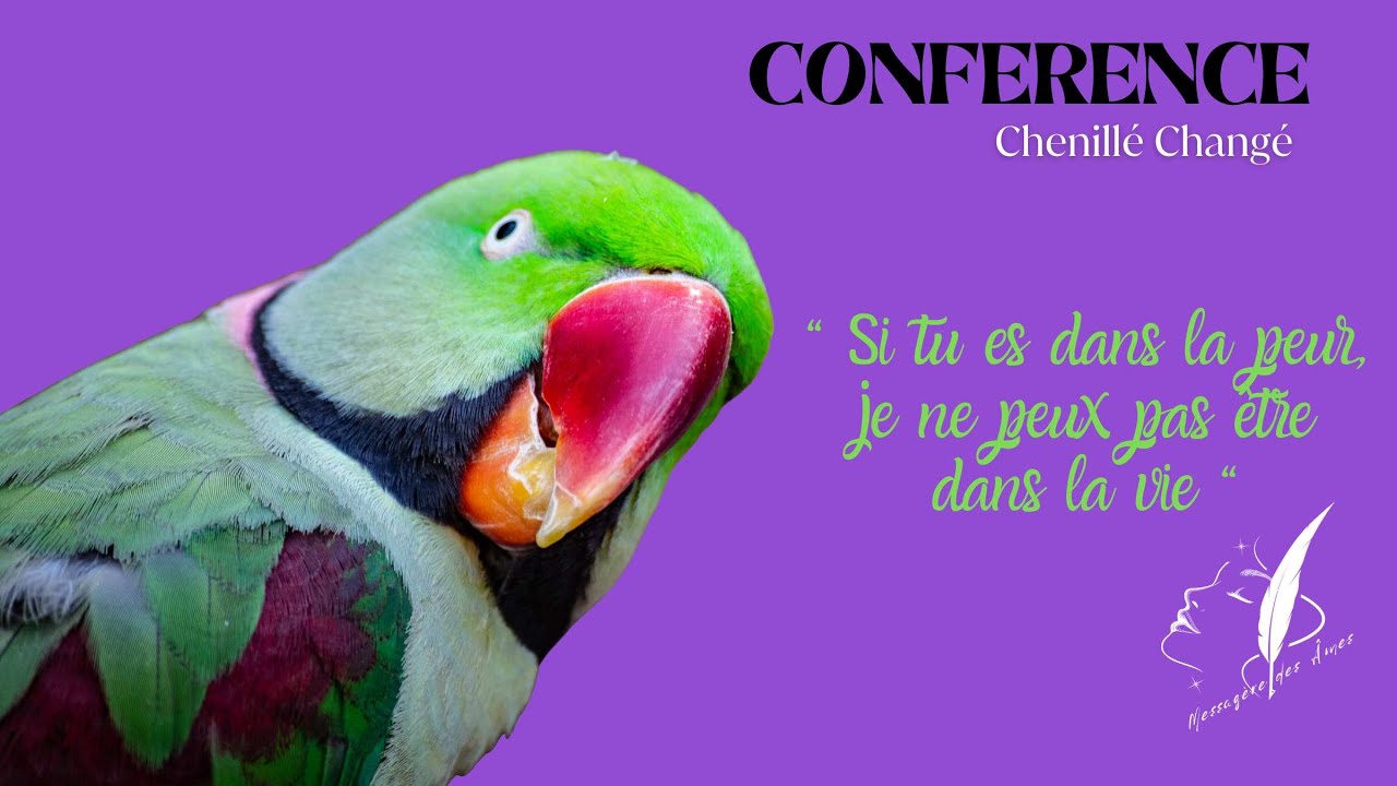 Ma première communication avec un OISEAU !!