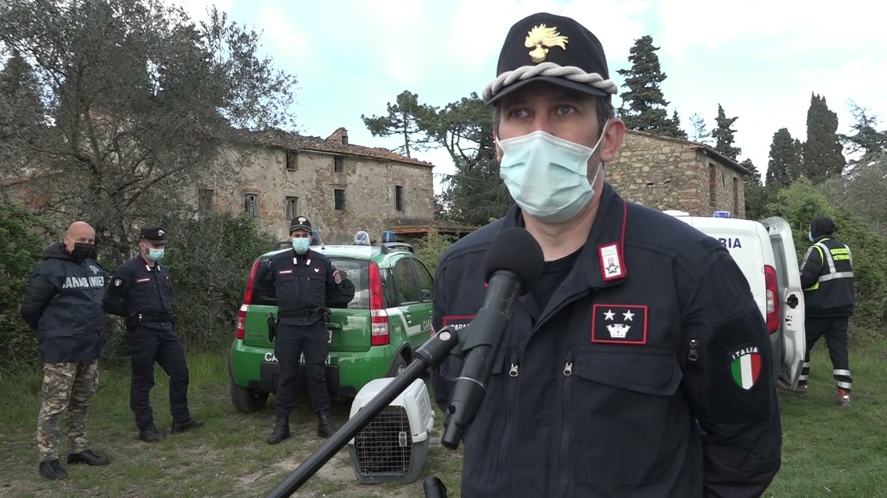 I Carabinieri Forestali salvano un istrice
