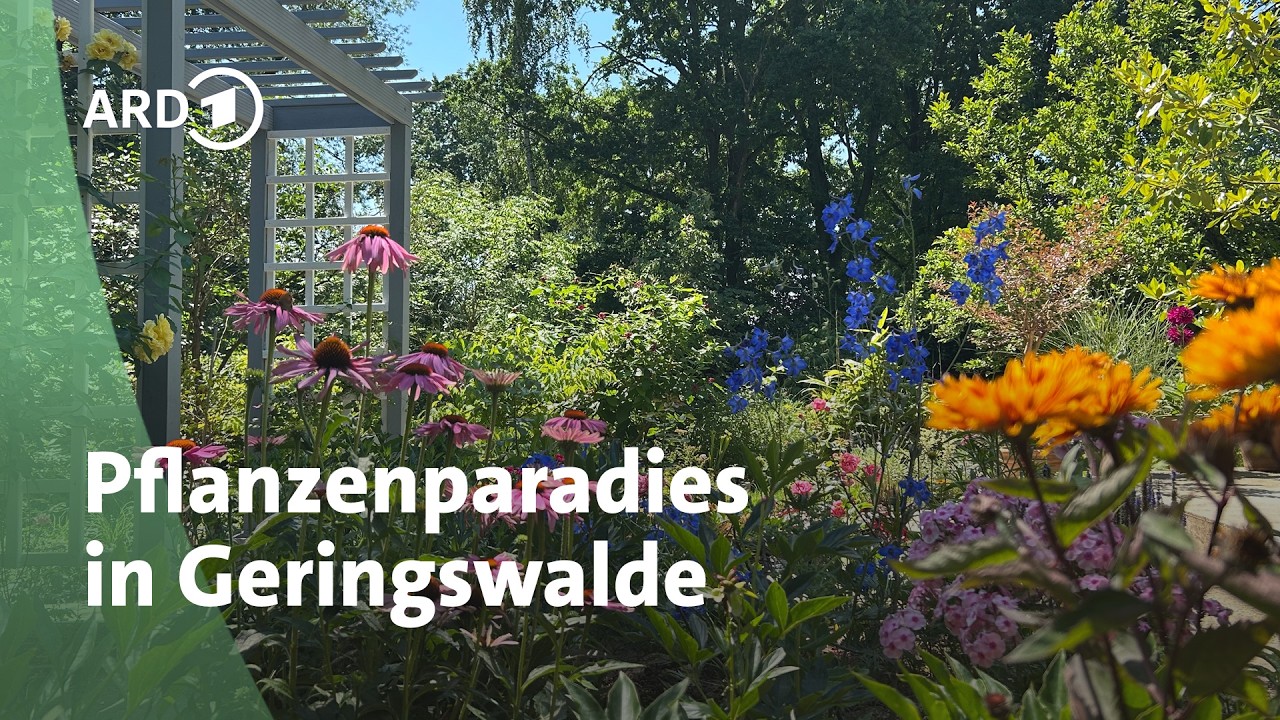Abwechslungsreich: Traumgarten in Sachsen | MDR Garten