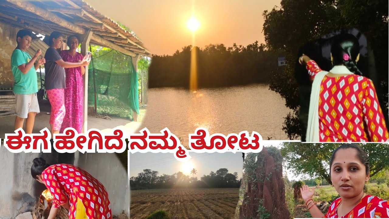 ಒಂದು ವರ್ಷದ ನಂತರ ತೋಟದಲ್ಲಿ ಏನೆಲ್ಲಾ ಬದಲಾವಣೆ ಆಗಿದೆ💁/ಚಿಂಟು ಚೇತುಗೆ ಅತ್ತೆ ಮನೆ ಅಂದ್ರೆ ಇಷ್ಟ 🥰/village life
