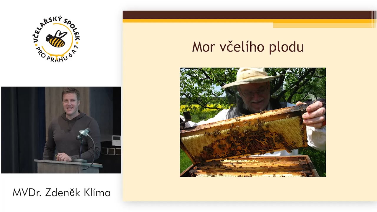 Mor plodu MVDr  Kl&iacute;ma 7  č&aacute;st Diskuze II