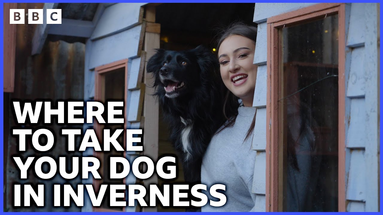 Katie’s Top Dog Friendly Places in Inverness