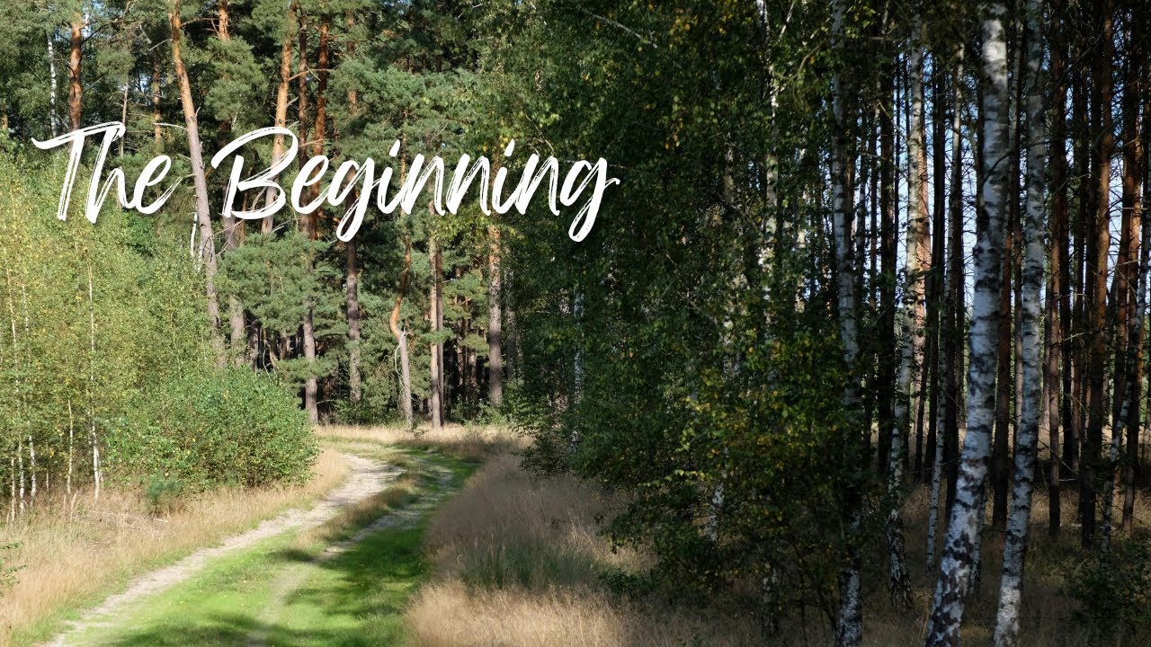 Welcome to Mountain Homestead Journey