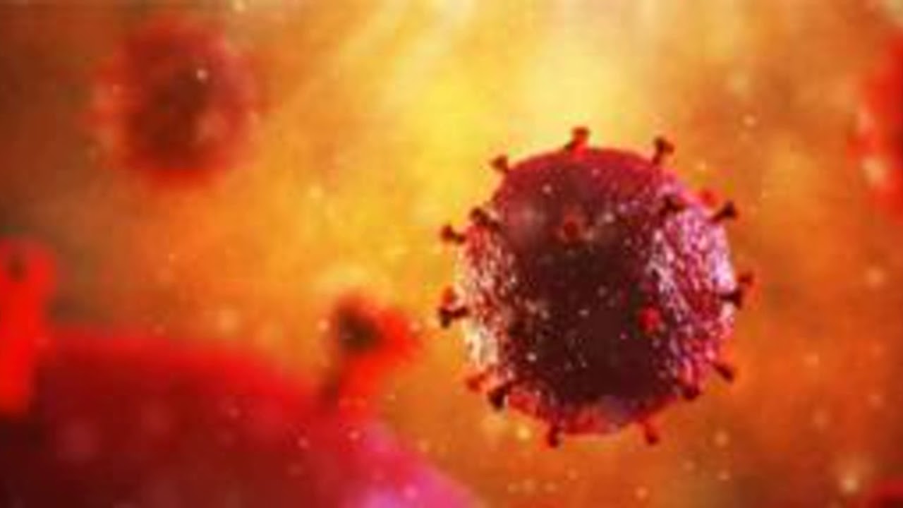 Un patient atteint du VIH en r&eacute;mission durable