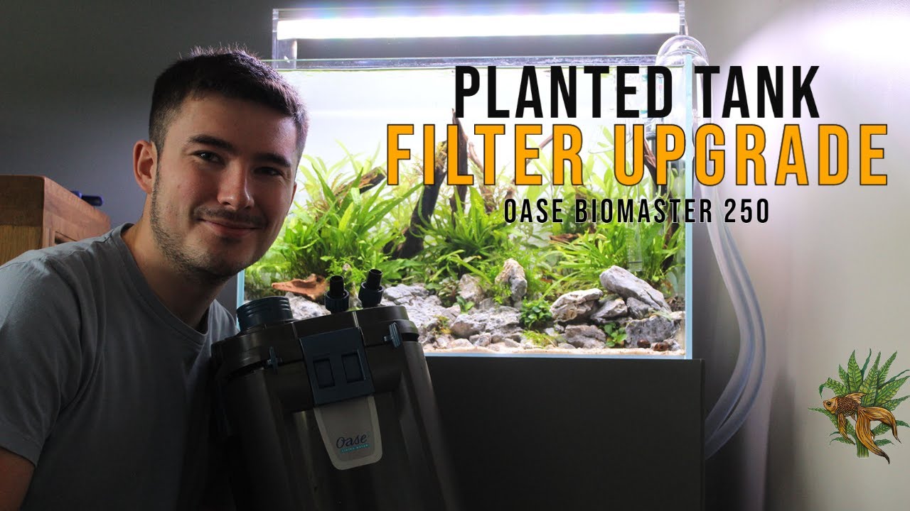 Nature Aquascape Planted Tank Filter UPGRADE!! (Oase Biomaster 250)