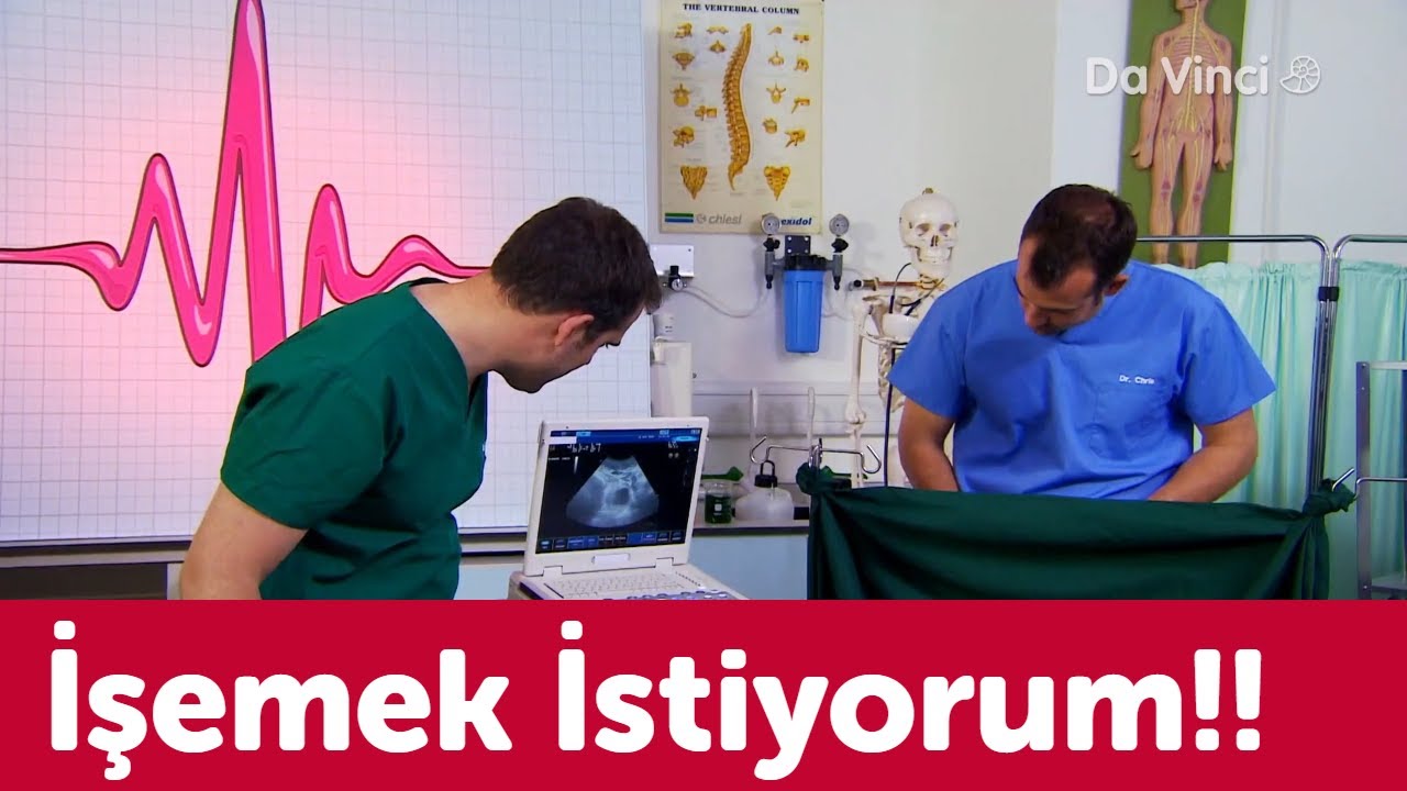 &Ccedil;işimizin Geldiğini Nereden Anlarız?🤓 | G&ouml;revimiz: İnsan V&uuml;cudu | Da Vinci TV T&uuml;rkiye