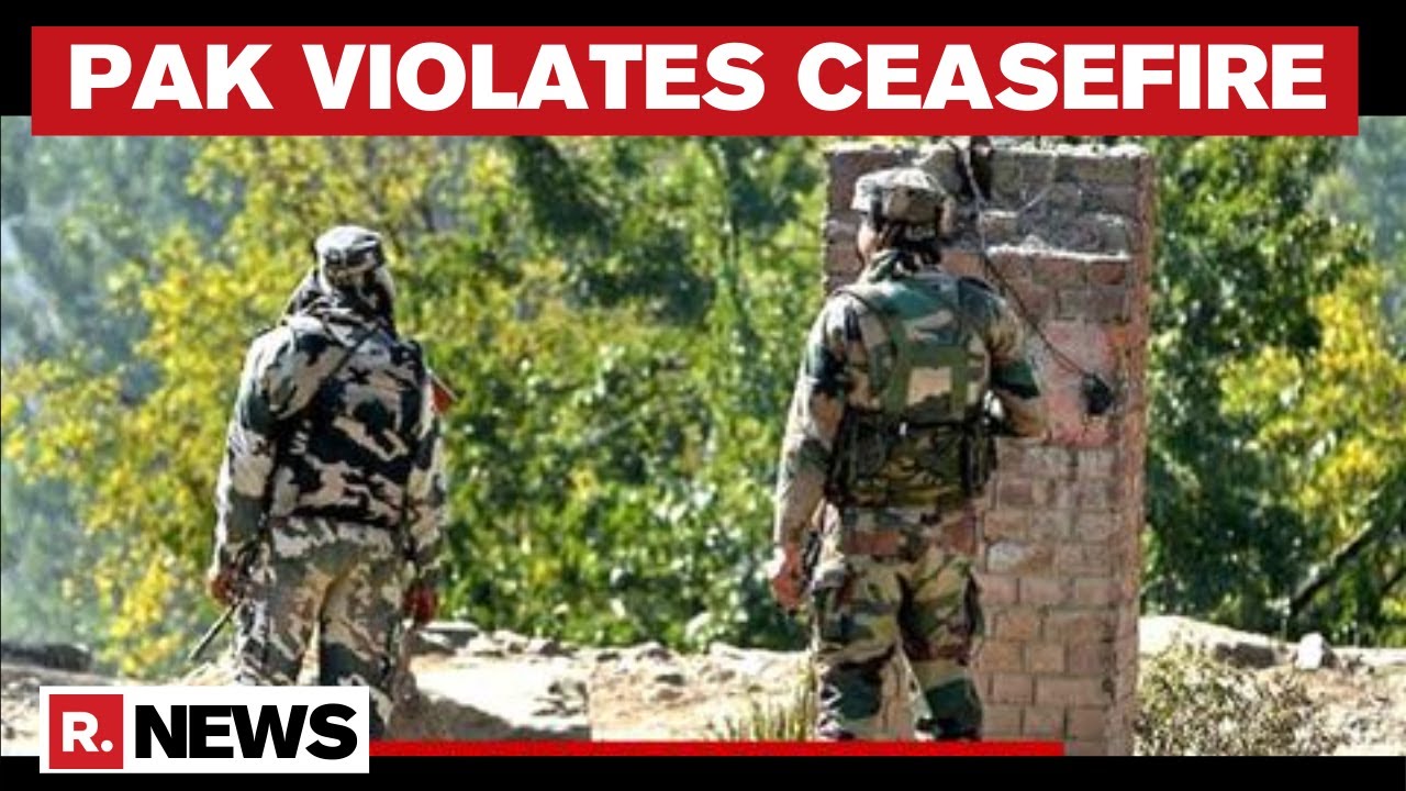 J&K: Voting Underway For DDC Polls As Pak Violates Ceasefire Again Along LOC In Sunderbani Sector