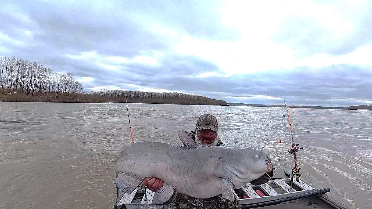 Sometimes Catfish Like Old Bait