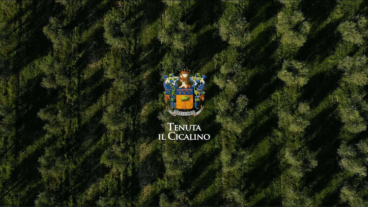 Tenuta il Cicalino | Feel More 2023