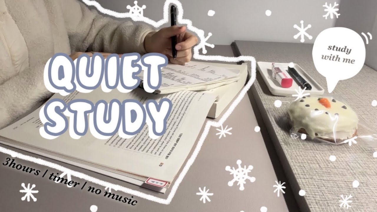 ❄️눈 오는 날 조용한 3시간 공부⛄️| 🌨️STUDY WITH ME☃️| 3hours🕒| Background noise | Timer | No music