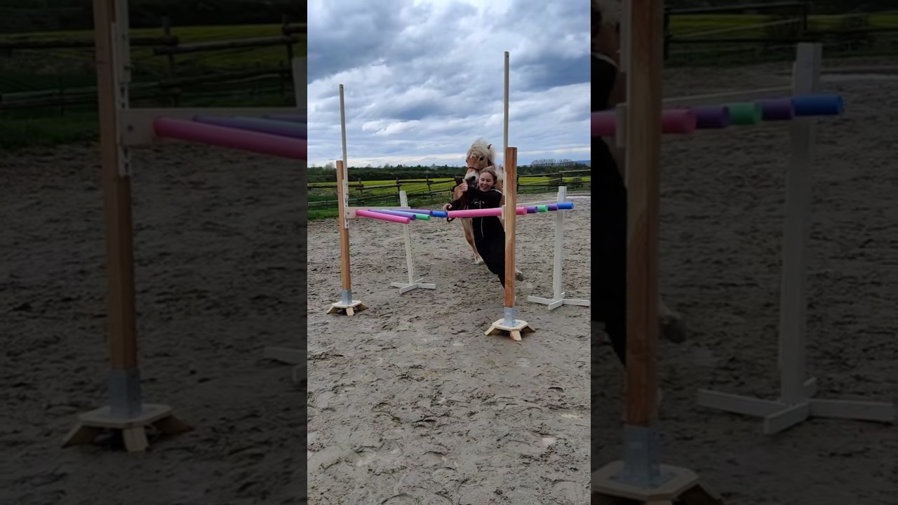 Spaß im Pferdetraining 🎉🐴 