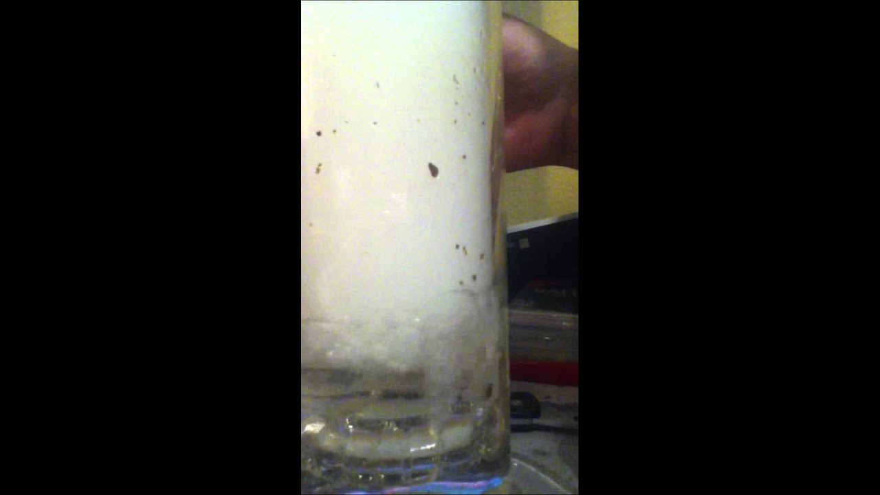 EFS double gridded donut milk