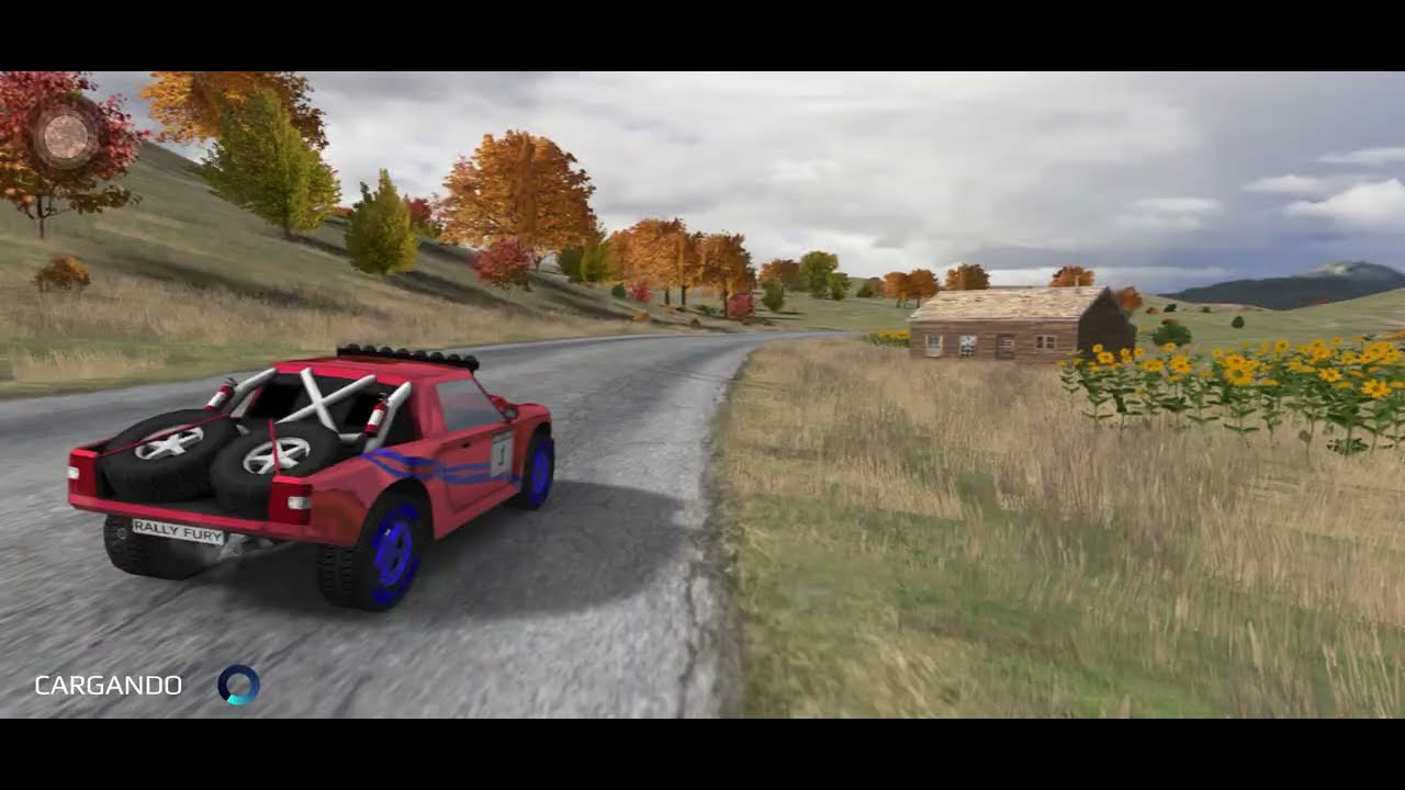 Rally Fury