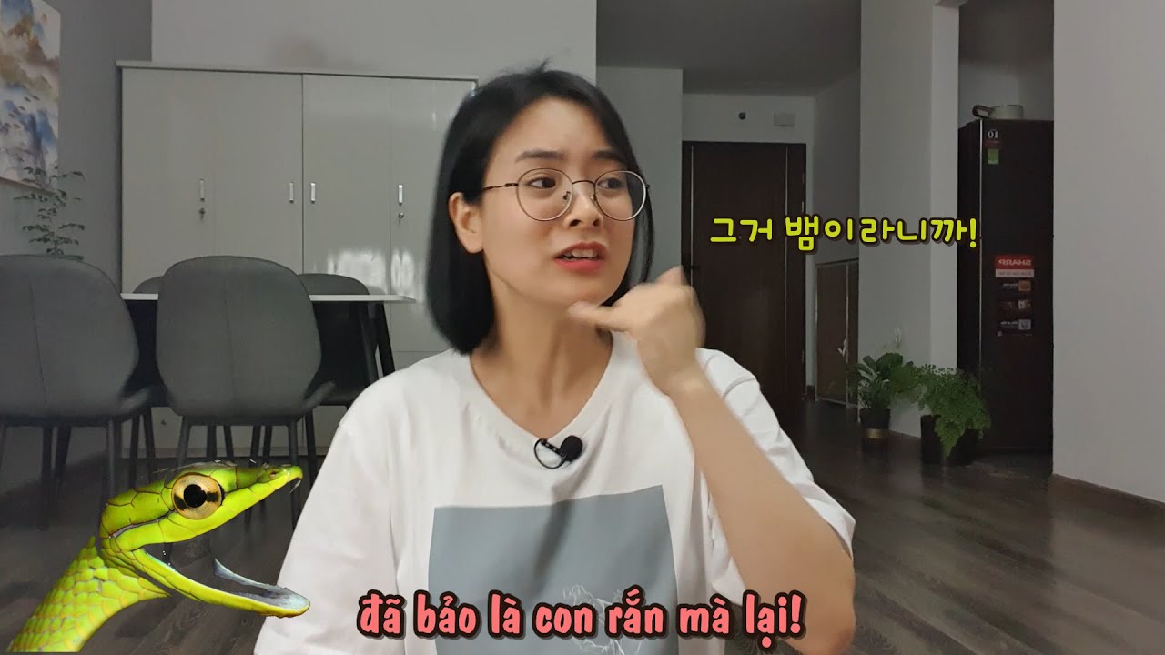 làm Hướng dẫn viên du lịch cho người Hàn kiếm được bao nhiêu??🤑🥳
