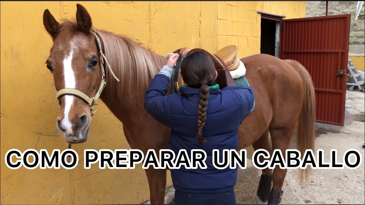 🐴como PREPARAR un CABALLO🐴