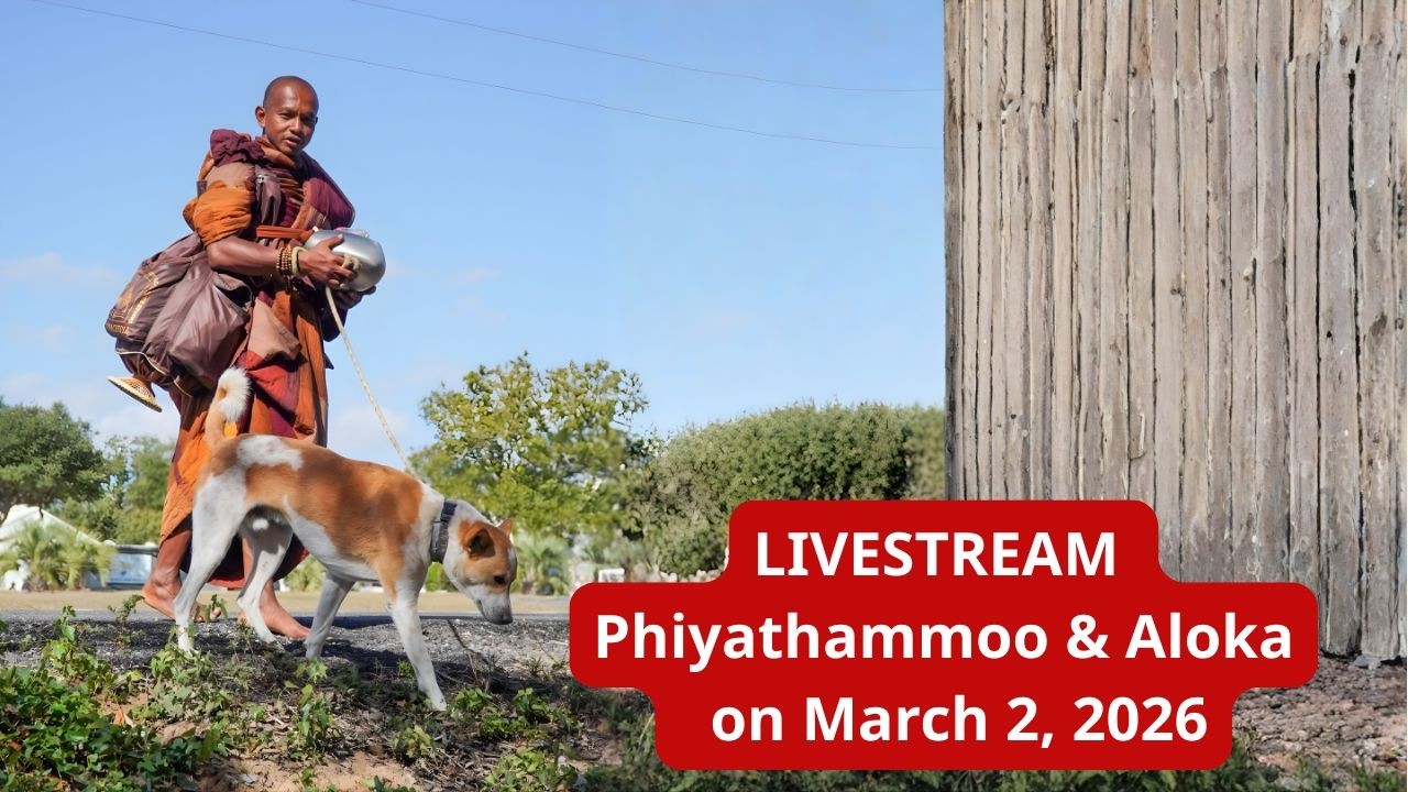 LIVE: Venerable Phyathammoo and Aloka joyfully together on March 2, 2026