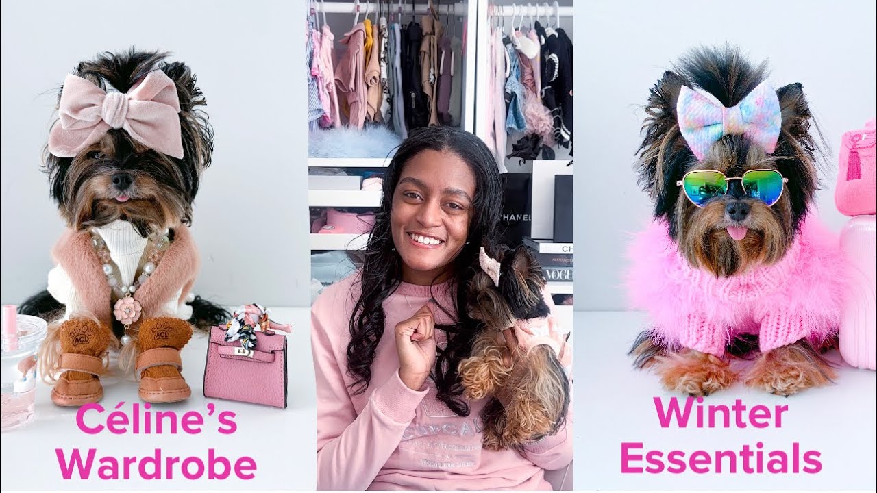 C&eacute;line&rsquo;s Winter Wardrobe Essentials | Pet Clothes | Dog Closet | Pet Safety | C&eacute;line + Me