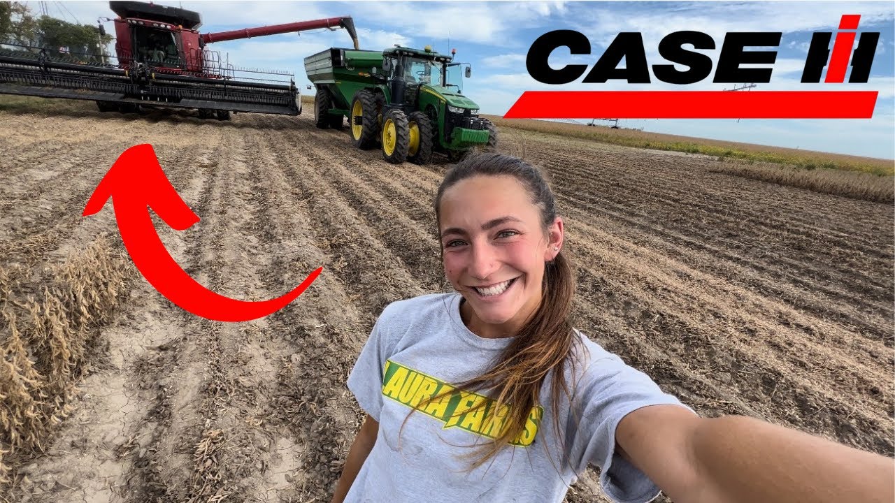First Day Harvesting Soybeans
