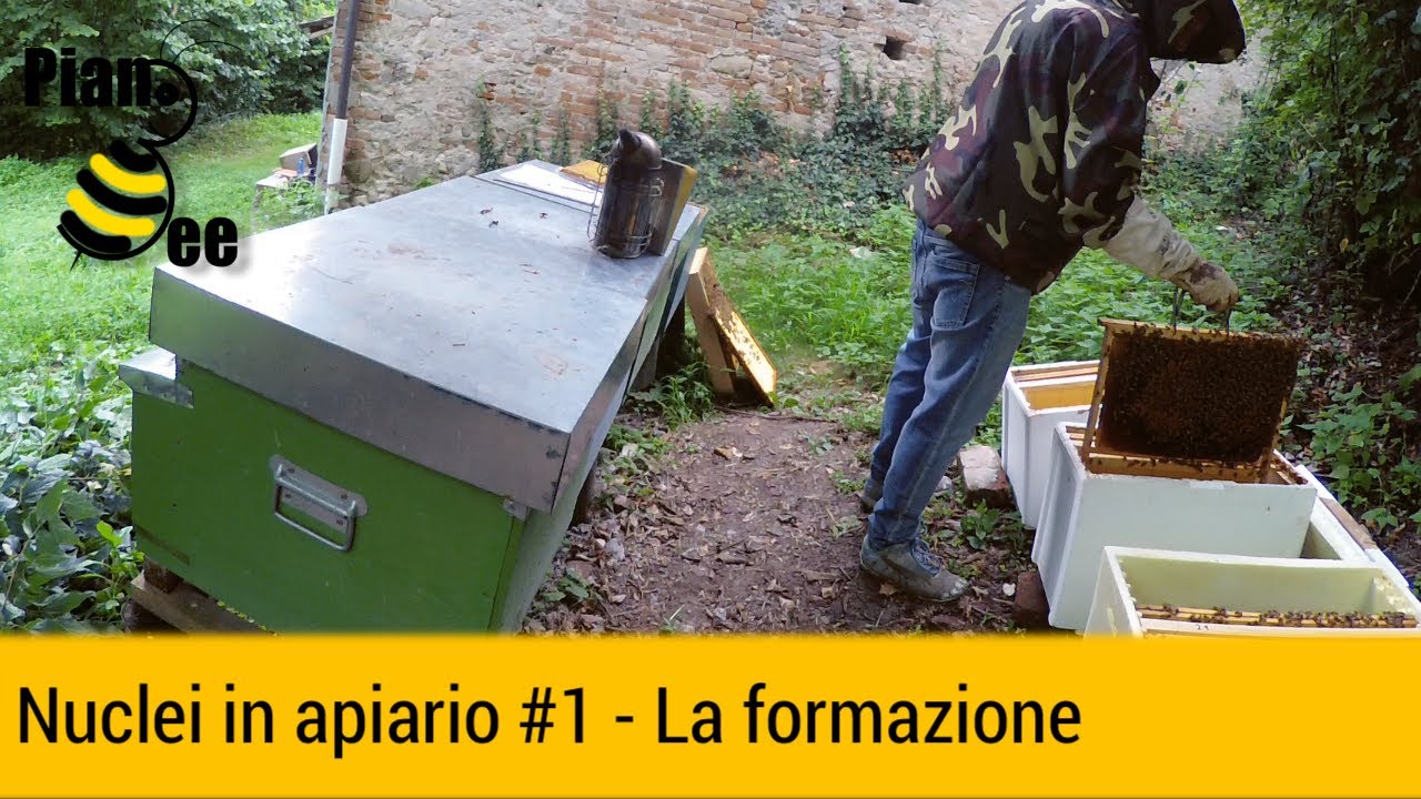 Nuclei in apiario #1 - La formazione dei nuclei