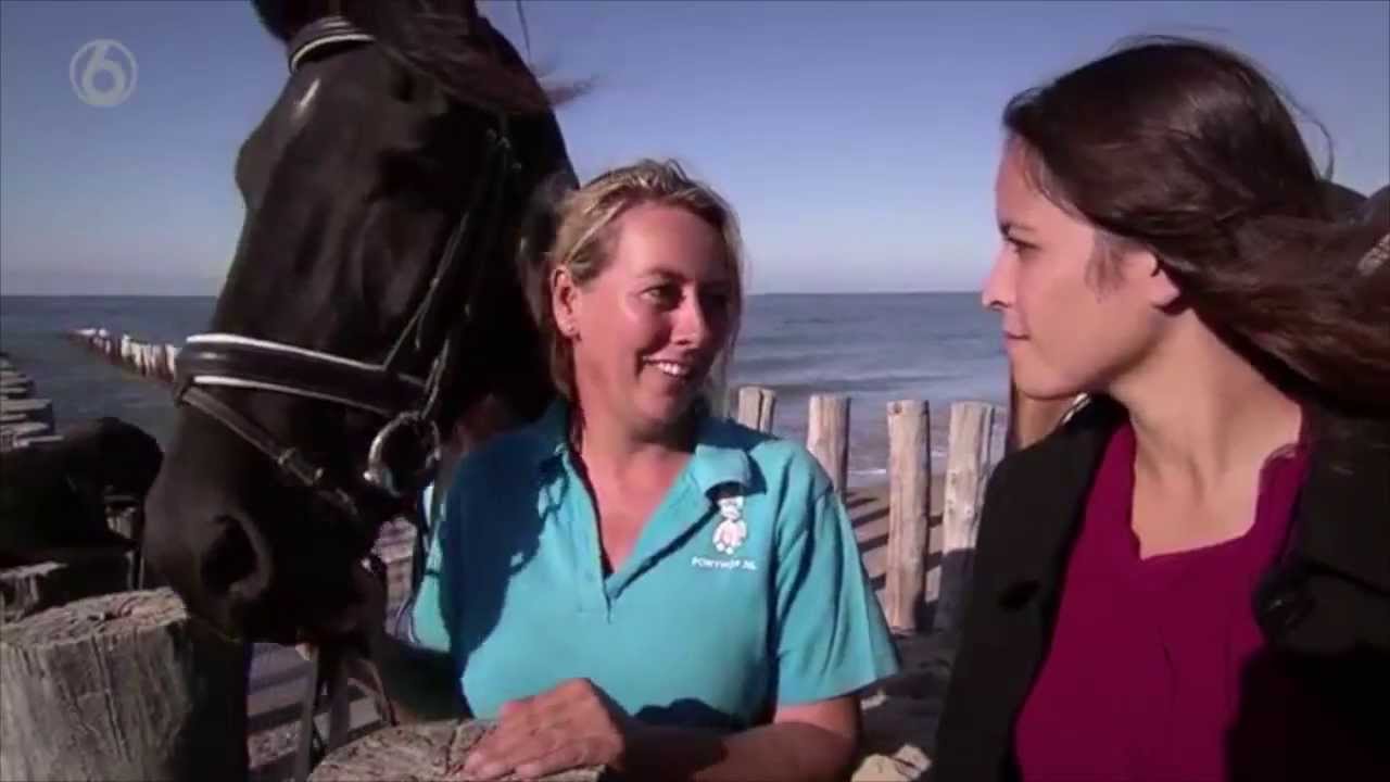 ponyhof op TV