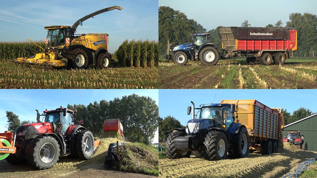 Loonbedrijf Prenger aan het mais hakselen en inkuilen bij Miskotte - Deel 1 (2025)