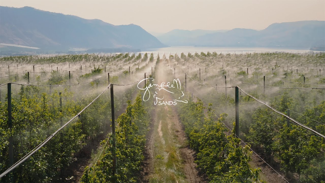 Растущая азартная игра. Часть 8. Честность, прозрачность, скромность