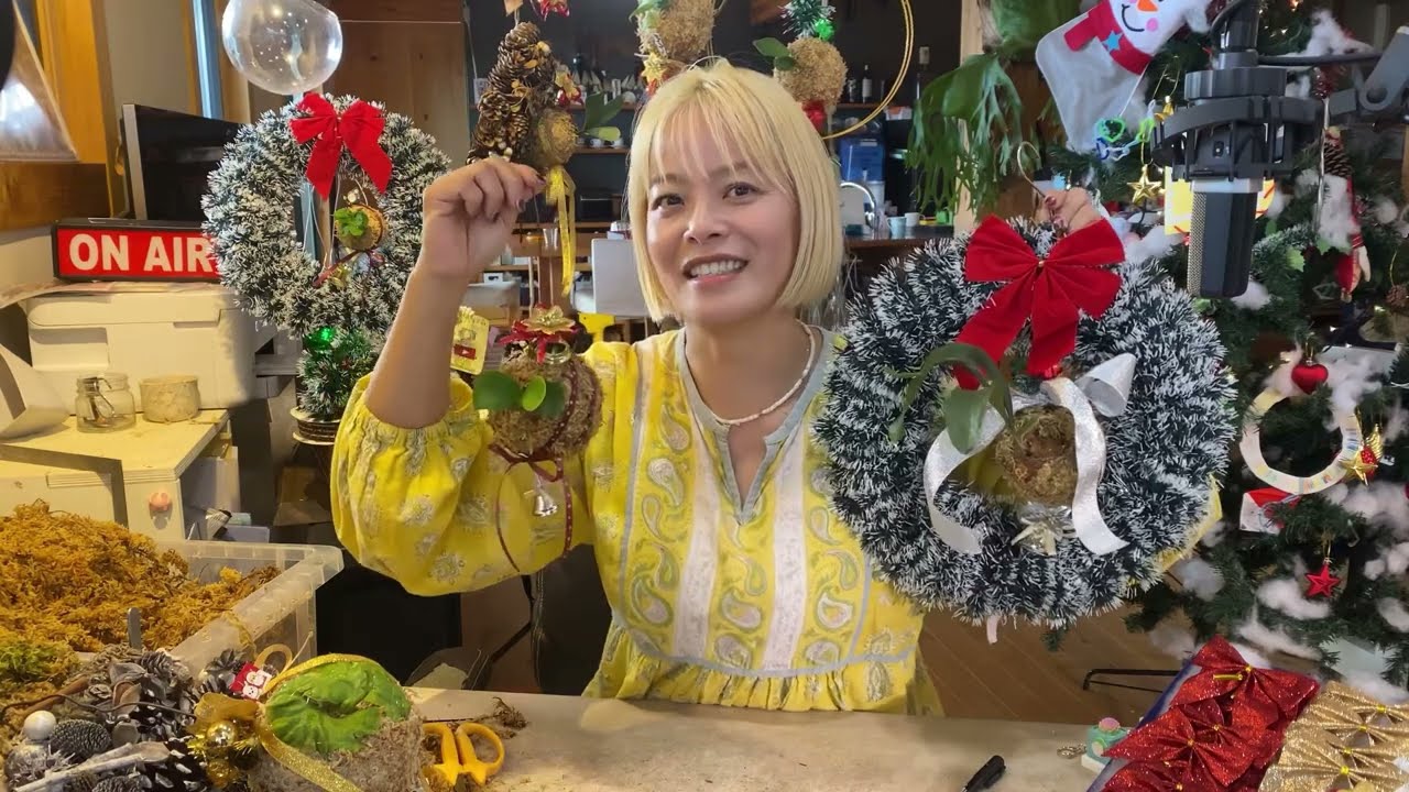 クリスマスのオーナメントをビカクシダで作ってみよう🎄