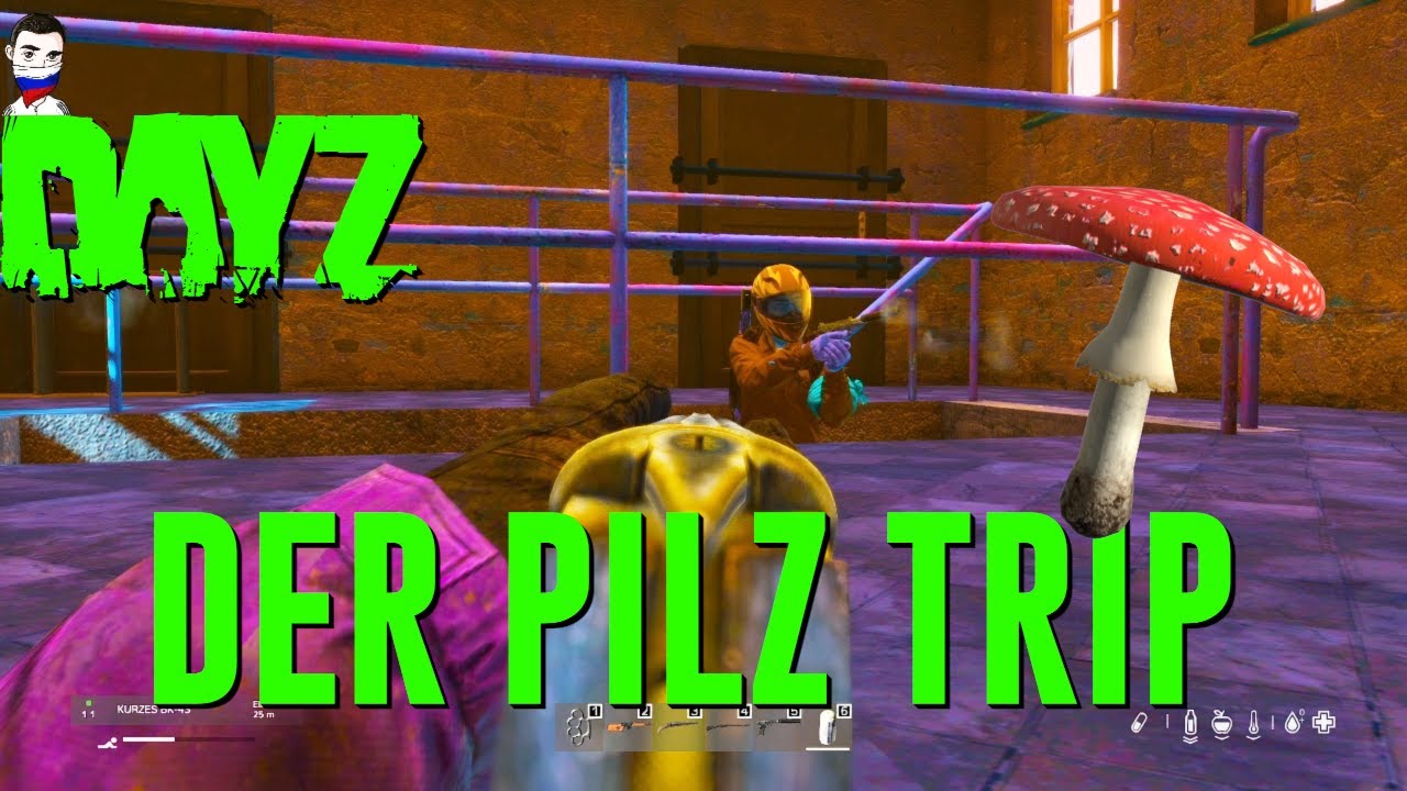 Ein KRASSER PILZ TRIP - DayZ Standalone | Quotenrusse