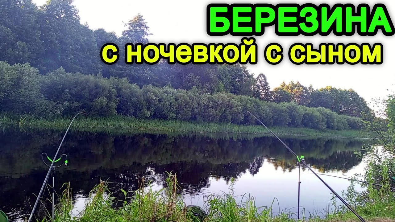 Рыбалка на Березине. Рыбачим с сыном на фидера в сильный ветер. Рыбалка с ночевкой.