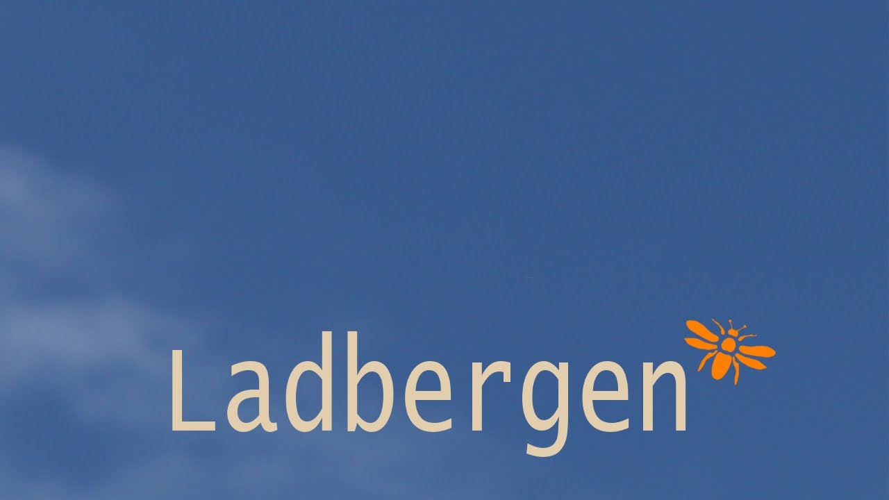Ladbergen - Ein Ort stellt sich vor