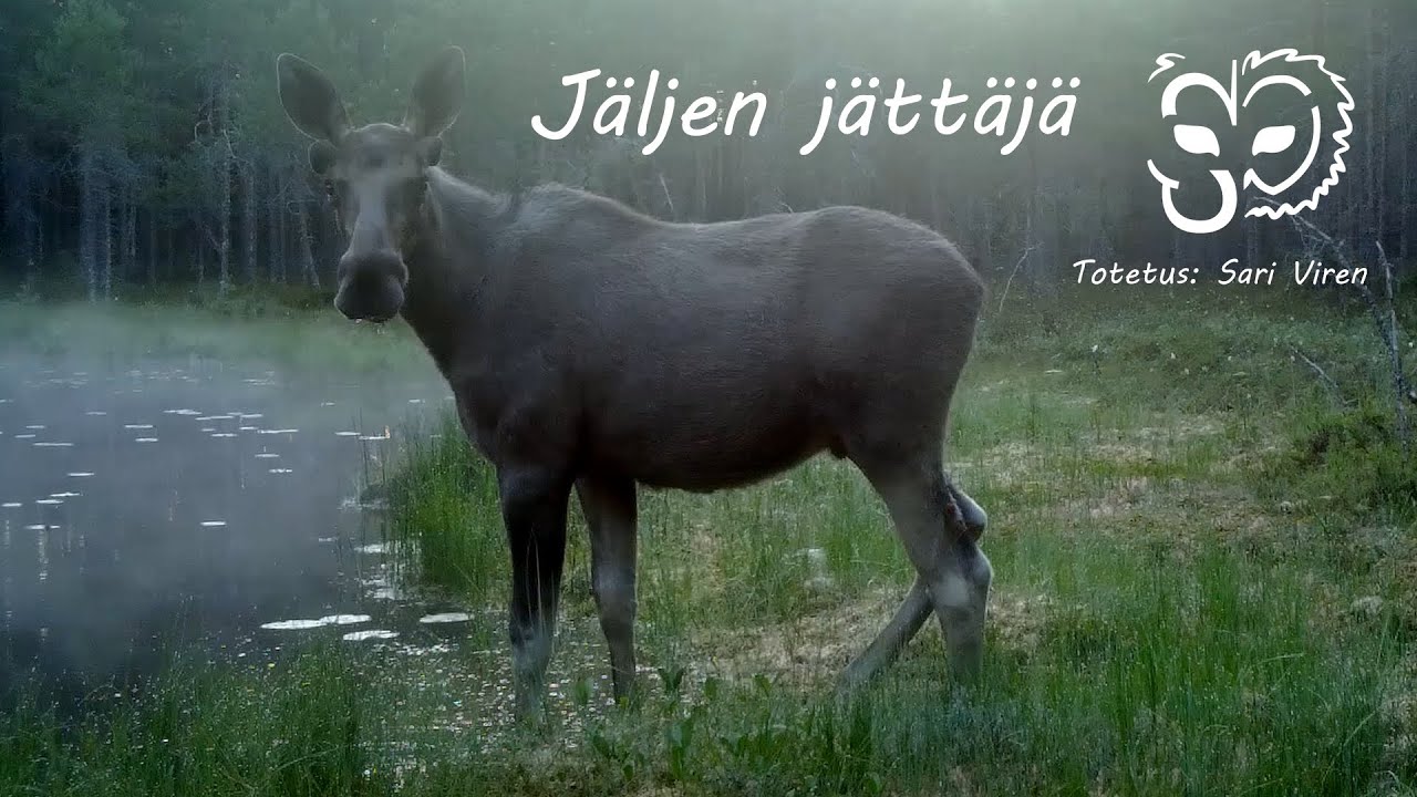Jäljen jättäjä  -   The One Who Leaves the Trail