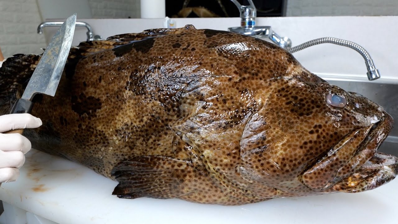 Запретный вкус! Поедание ядовитого морского окуня, продажа которого незаконна