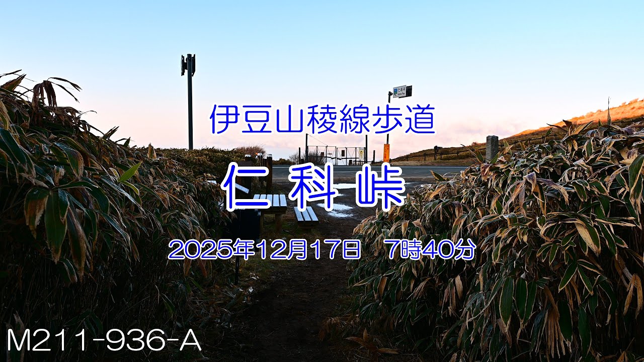 【Profile of Mountain┃伊豆半島】伊豆山稜線歩道　仁科峠　2025.12.17　M211-936-A　4K　字幕あり