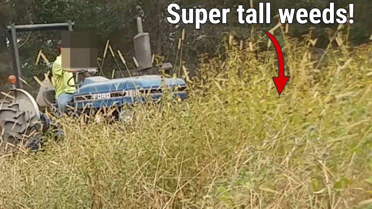 Ford 3910 with the Bush Hog