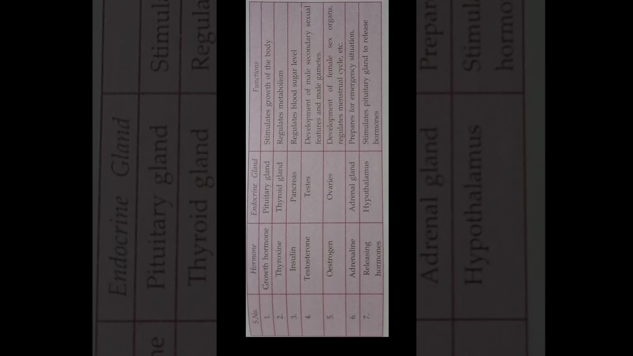 Hormones and Their functions Best Notes for exam #shorts