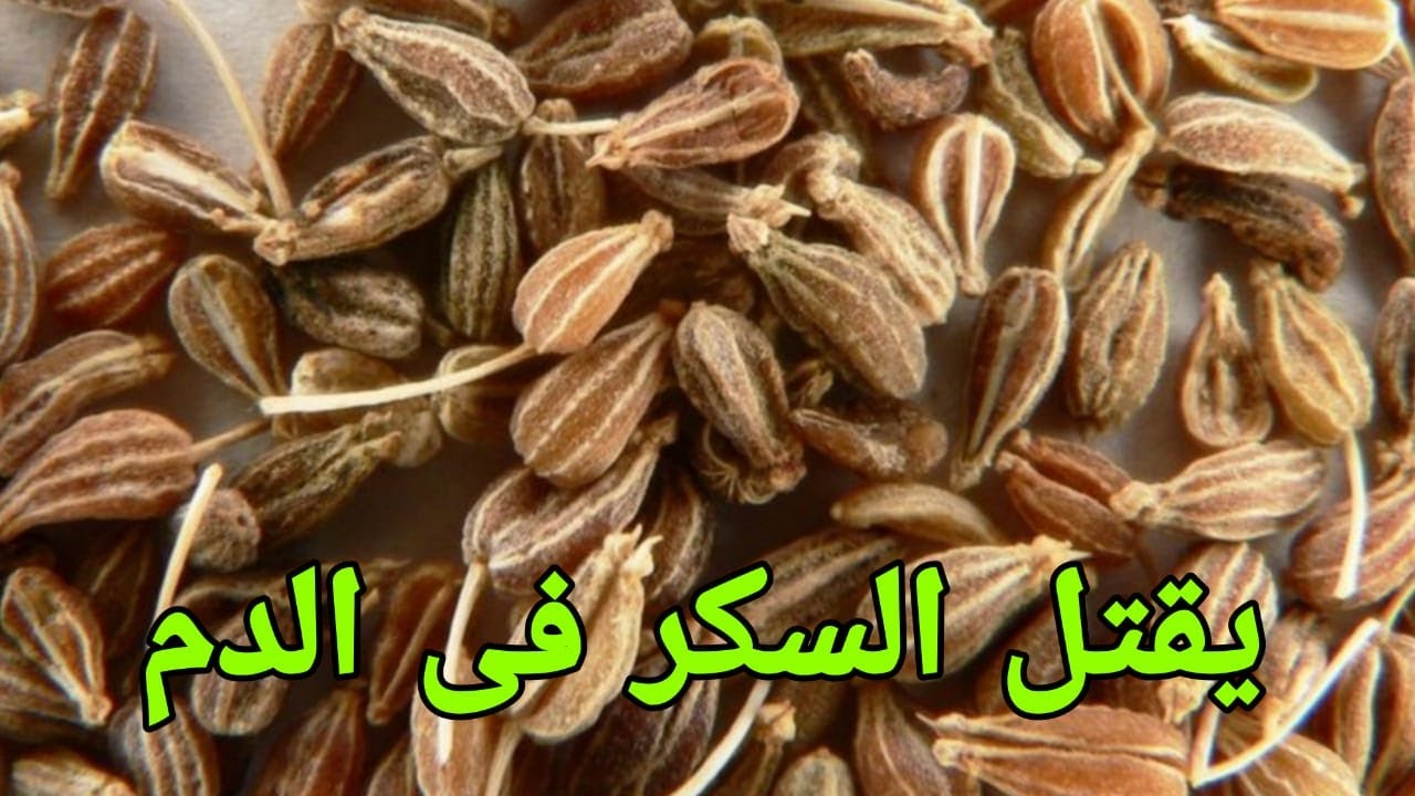 ينظم التراكمى ويحرق السكر فى الدم وينظف الكلى