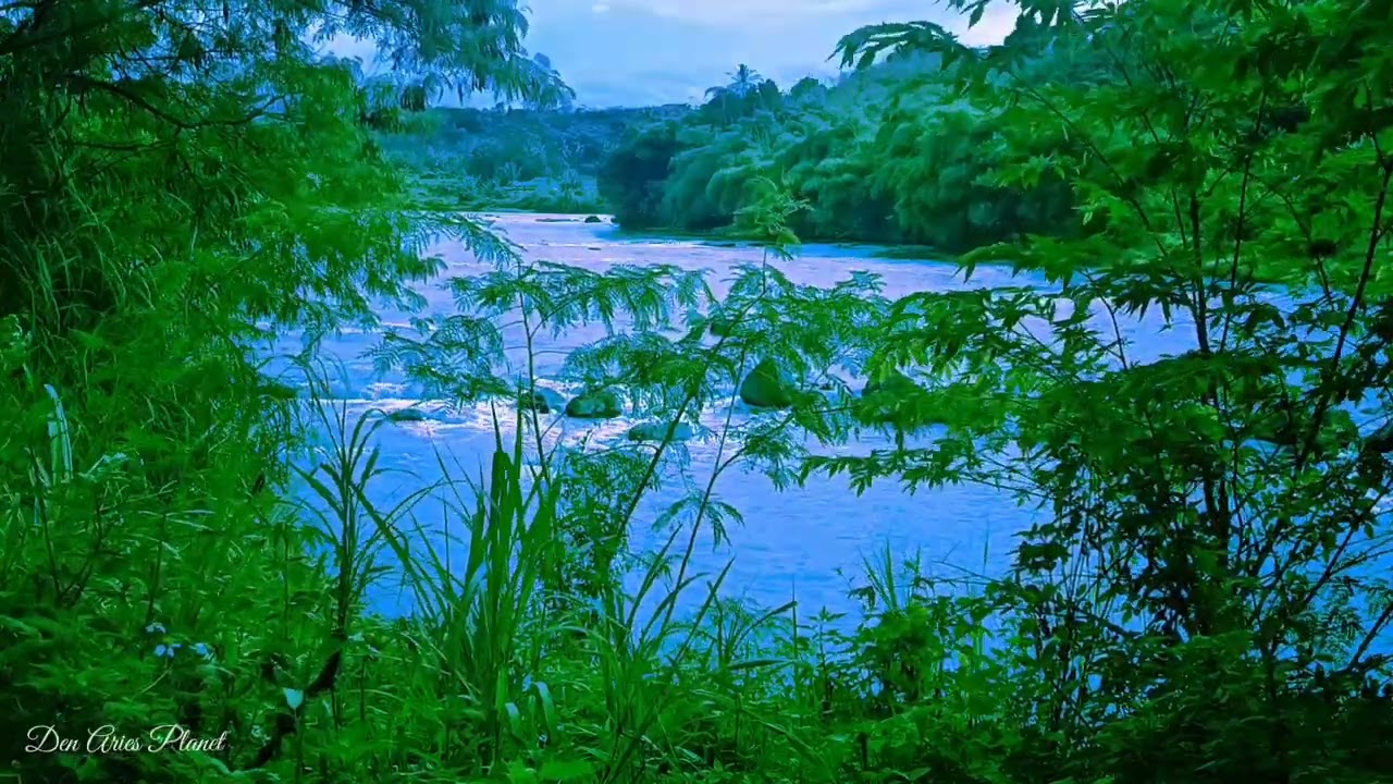 Gentle River Sounds for Sleeping 🌊 Soothing Nature White Noise for Anxiety Relief