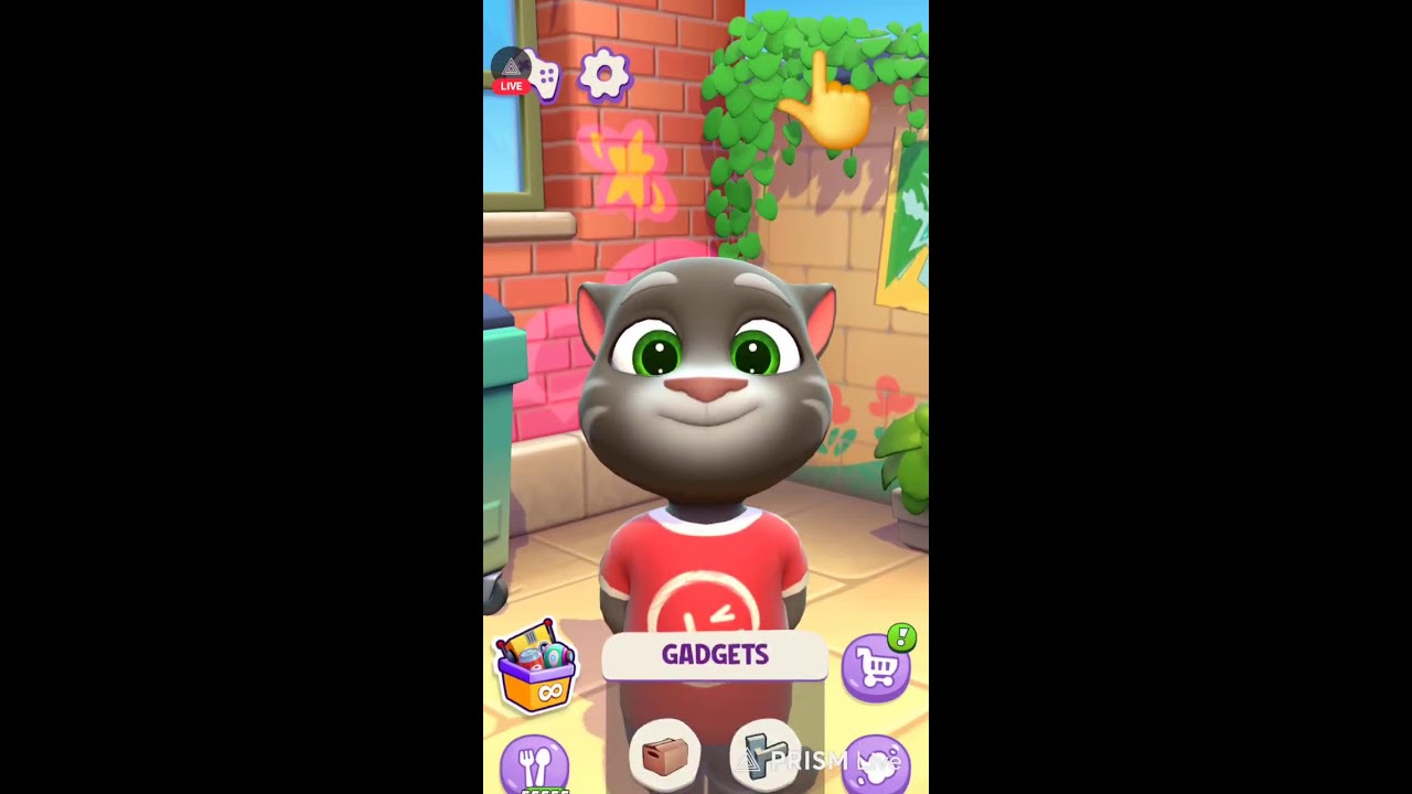 TALKING WITH TOM FUNNY TALKING AND SPEAKING LIVE STREAM
