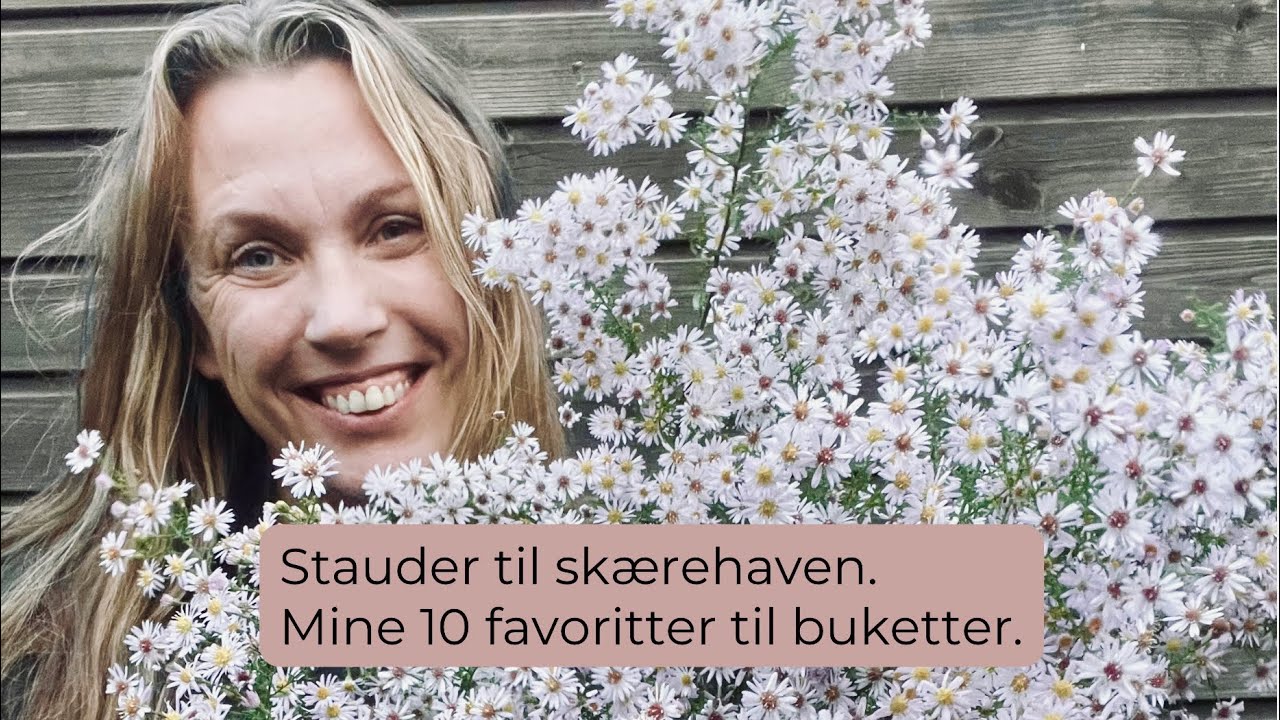 Stauder til skærehaven: Mine 10 favoritter, år efter år.