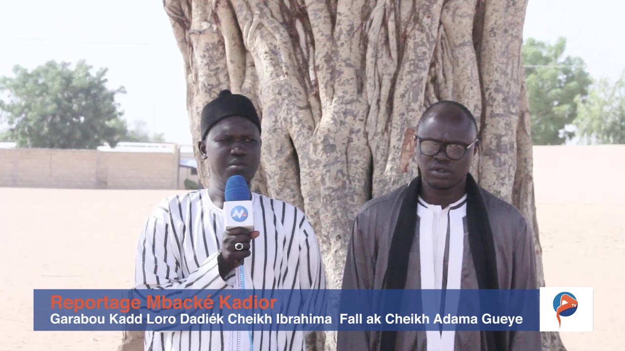 Reportage Mbacké Kadior - Garabou Kadd Loro Dadiék Cheikh Ibrahima  Fall ak Cheikh Adama Gueye