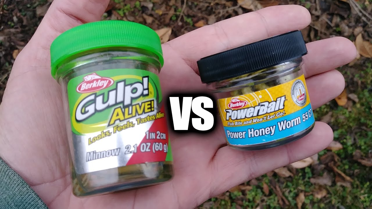 Gulp Minnow vs PowerBait Honey Worm - Which Bait Catches More Fish?