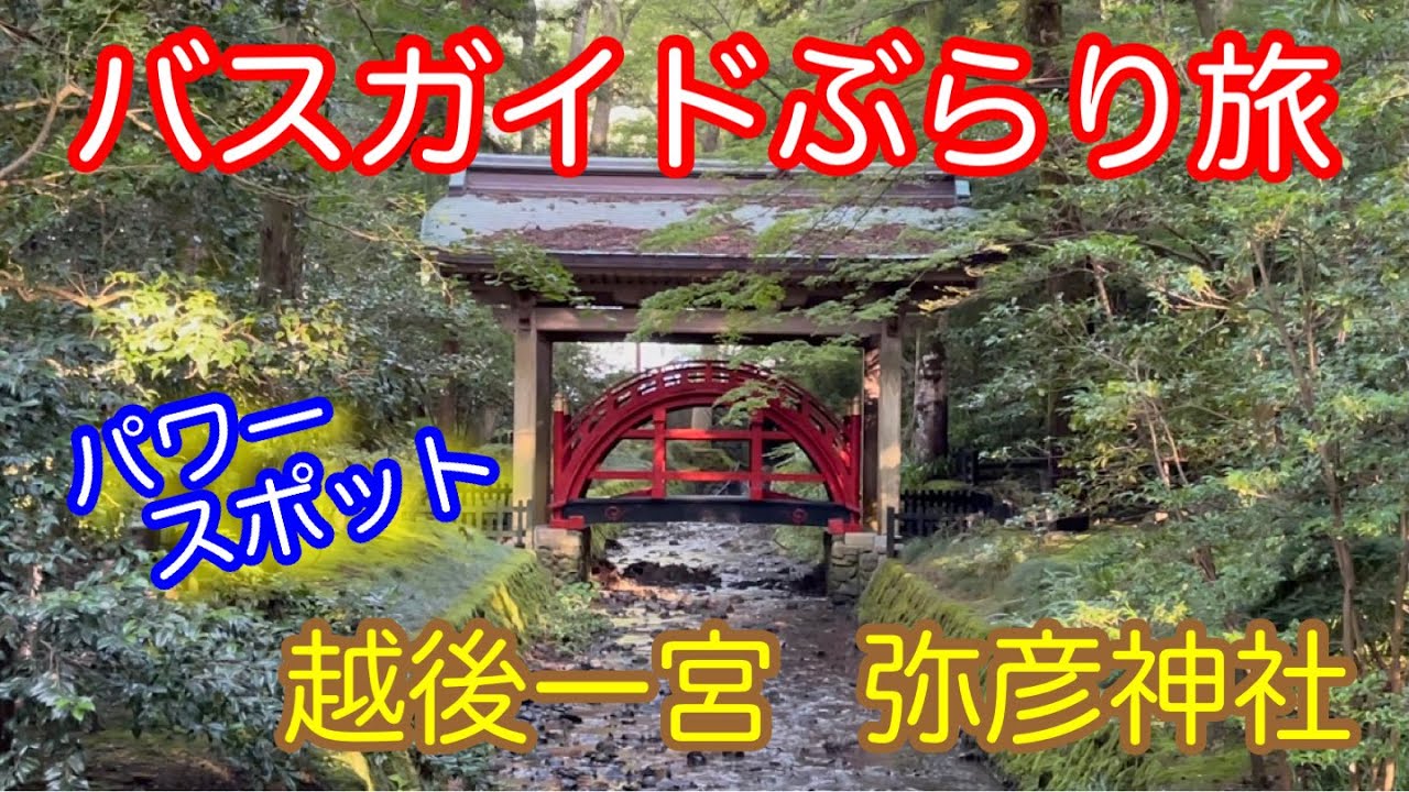 バスガイドぶらり旅  vol.76  越後一宮 弥彦神社