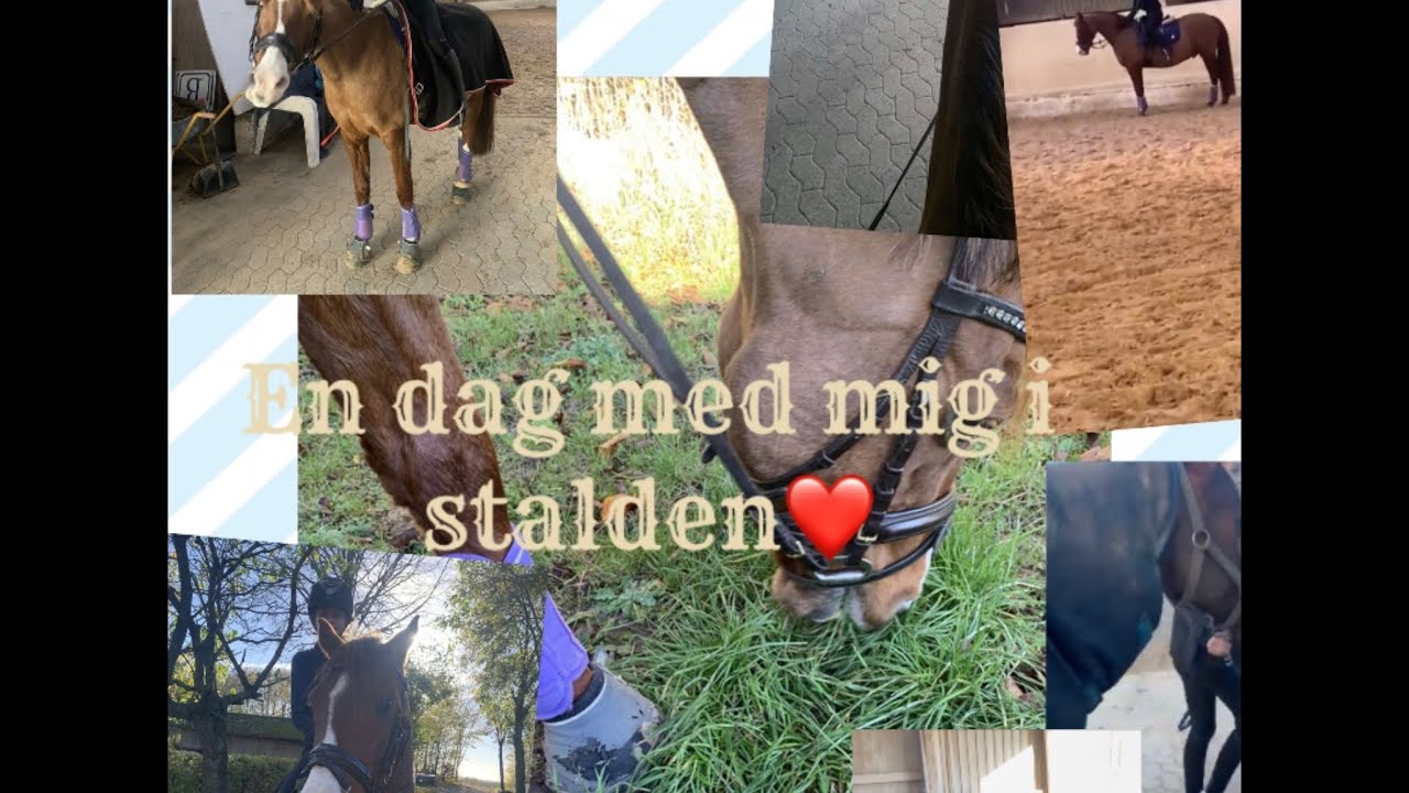 𝔼𝕟. 𝔻𝕒𝕘 𝕞𝕖𝕕 𝕞𝕚𝕘 𝕚 𝕤𝕥𝕒𝕝𝕕𝕖𝕟 ❤️