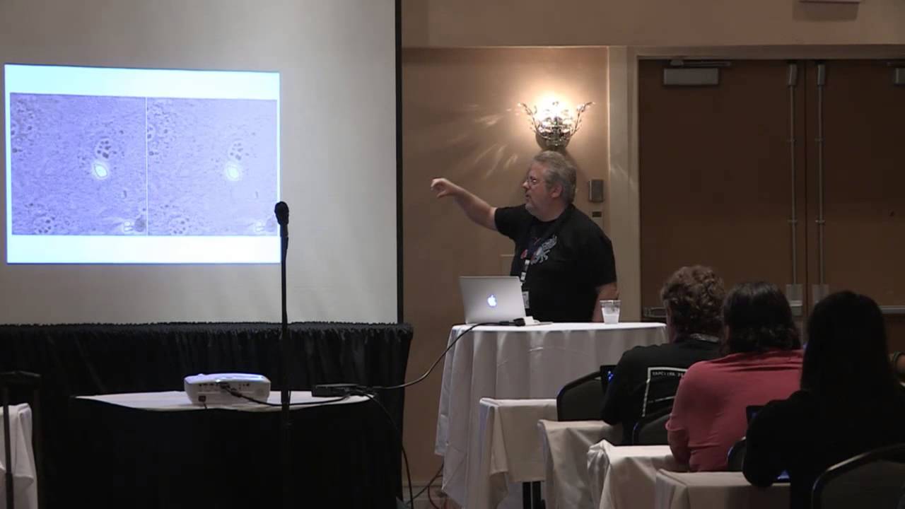 Walt Mankowski (waltman) - Scientific Programming with NumPy and SciPy