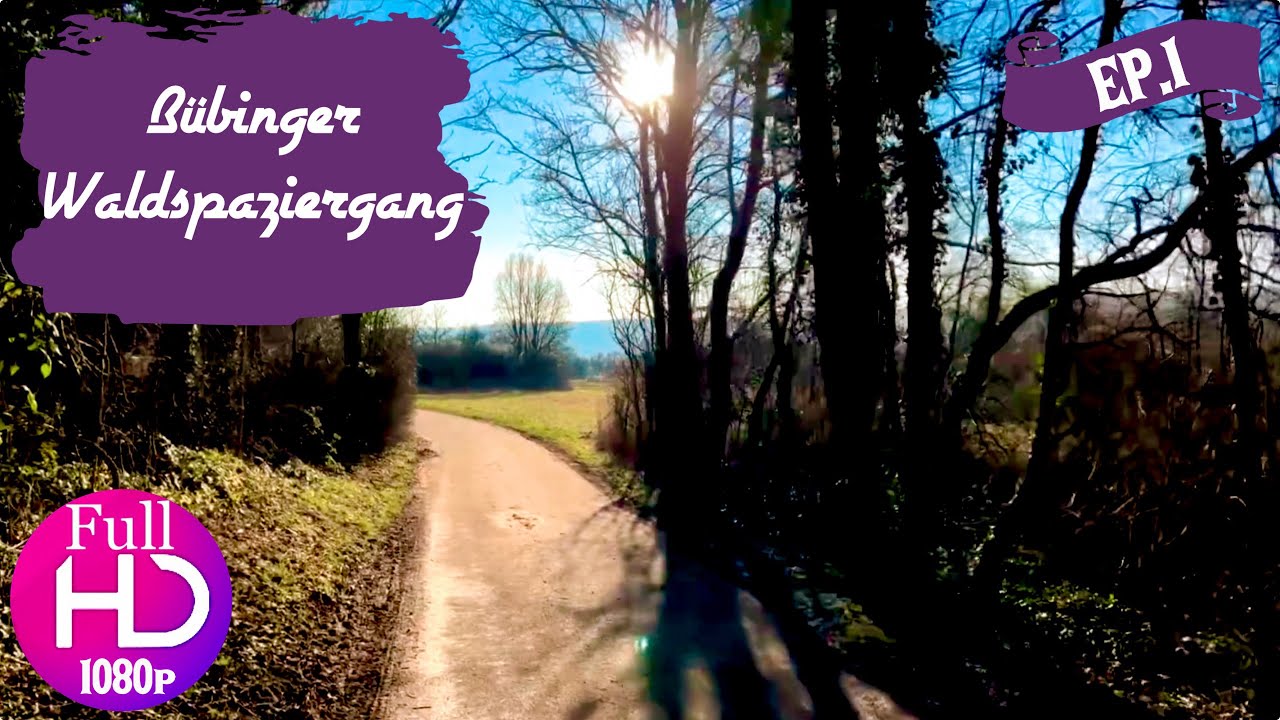 Beautiful Walk - B&uuml;bingen - Forest (Germany) Wundersch&ouml;ner Spaziergang durch den Wald in B&uuml;bingen