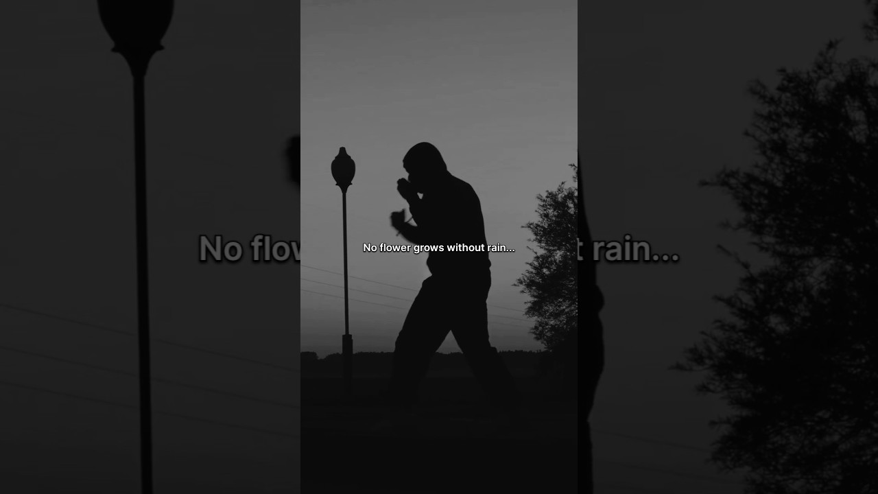 No flower grows without rain 🔥 